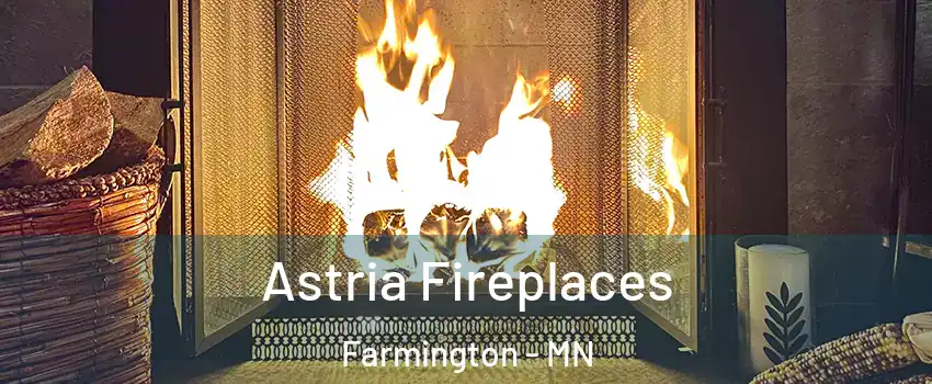  Astria Fireplaces Farmington - MN
