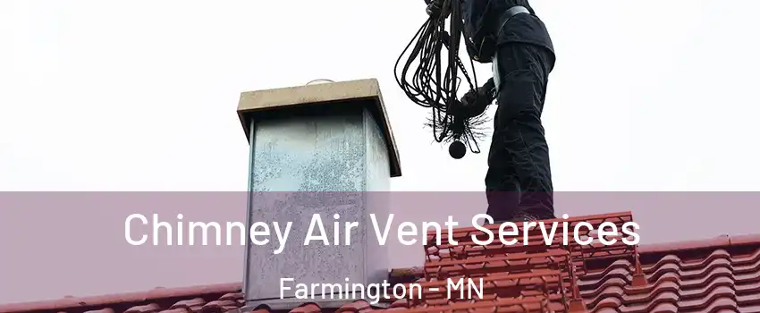  Chimney Air Vent Services Farmington - MN