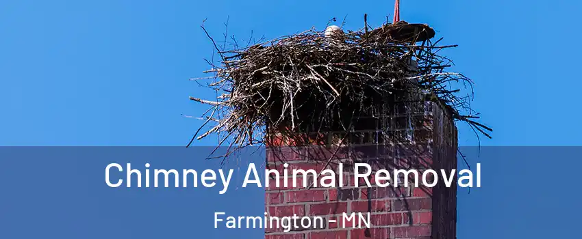  Chimney Animal Removal Farmington - MN