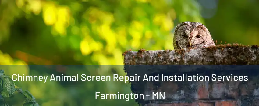  Chimney Animal Screen Repair And Installation Services Farmington - MN