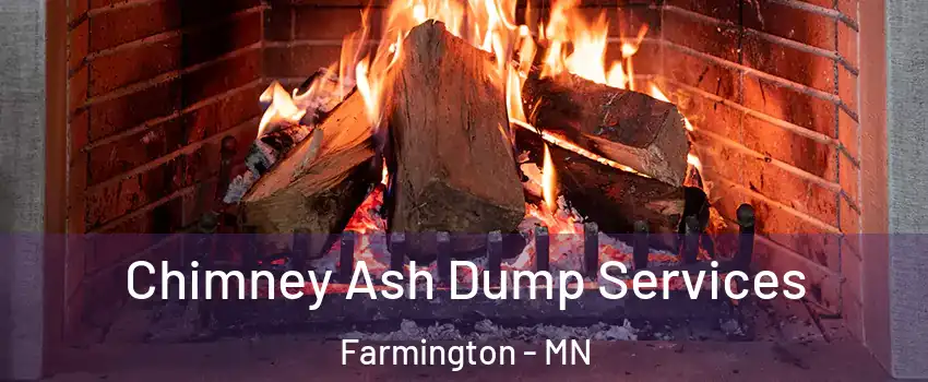  Chimney Ash Dump Services Farmington - MN
