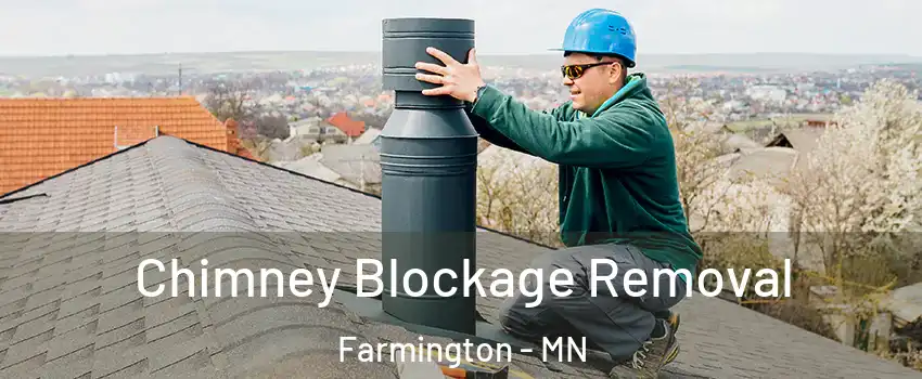  Chimney Blockage Removal Farmington - MN