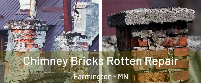  Chimney Bricks Rotten Repair Farmington - MN