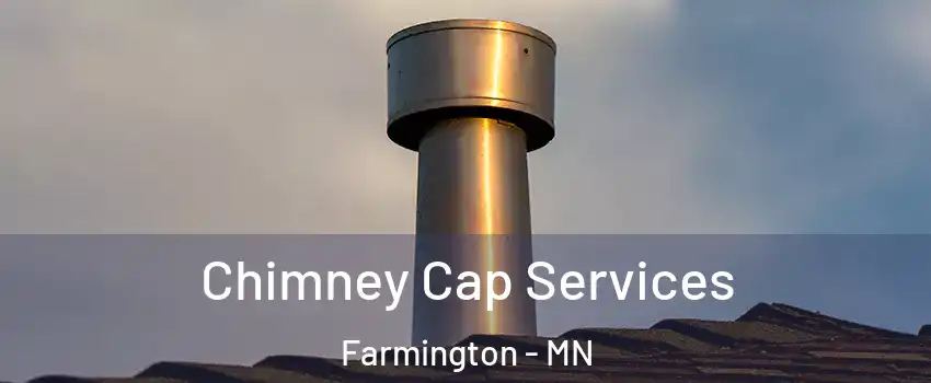 Chimney Cap Services Farmington - MN