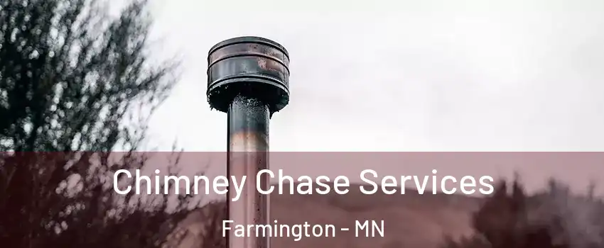  Chimney Chase Services Farmington - MN
