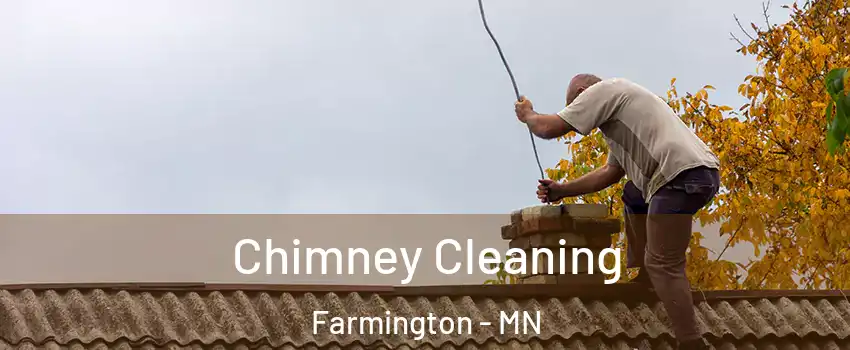  Chimney Cleaning Farmington - MN