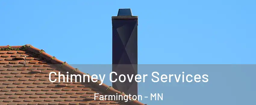  Chimney Cover Services Farmington - MN