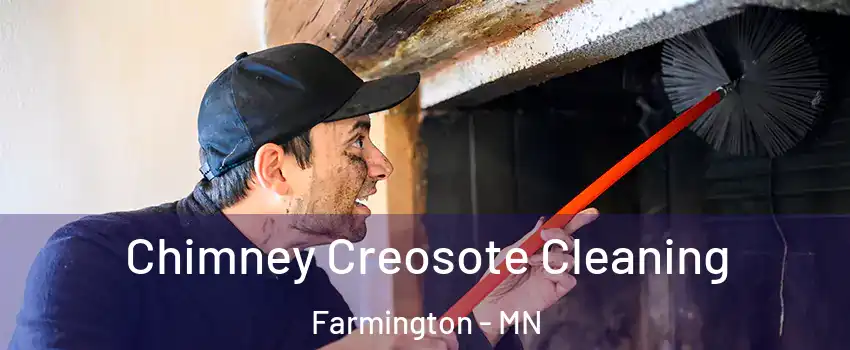 Chimney Creosote Cleaning Farmington - MN