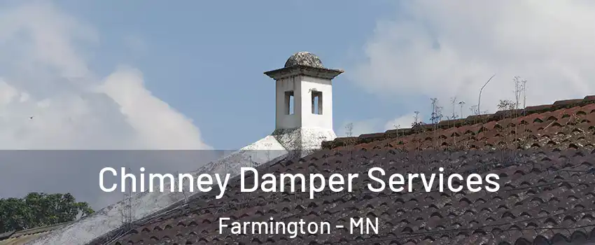  Chimney Damper Services Farmington - MN