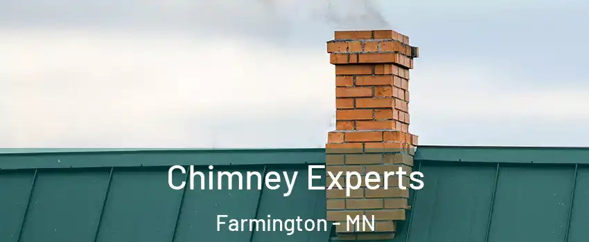  Chimney Experts Farmington - MN