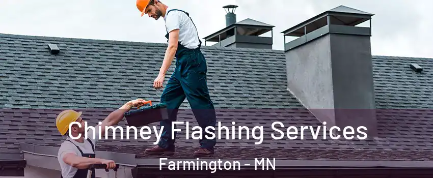  Chimney Flashing Services Farmington - MN