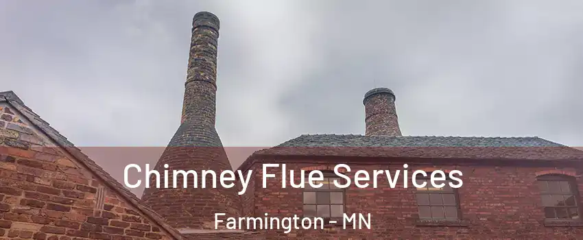  Chimney Flue Services Farmington - MN