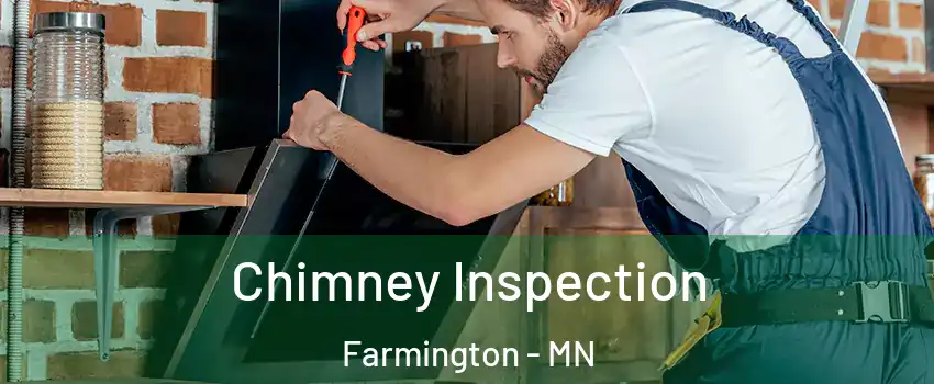  Chimney Inspection Farmington - MN