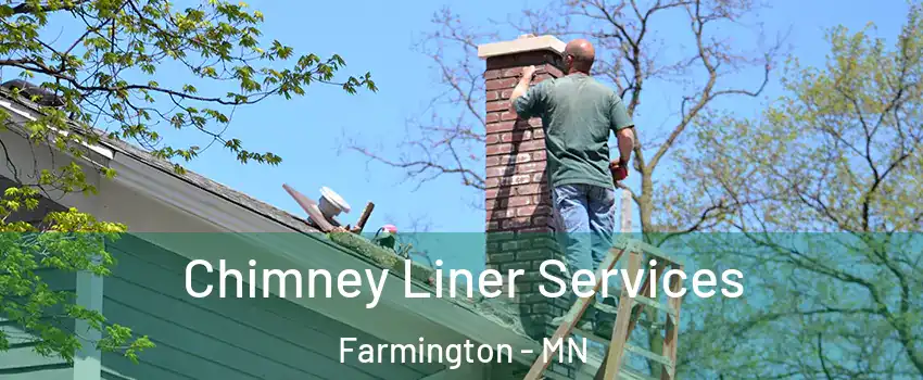  Chimney Liner Services Farmington - MN