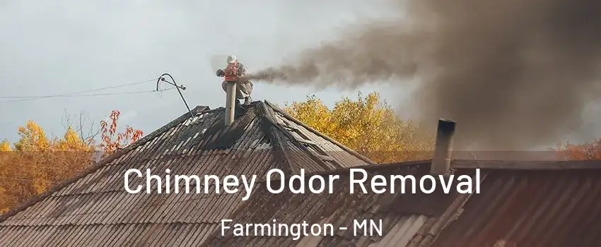  Chimney Odor Removal Farmington - MN