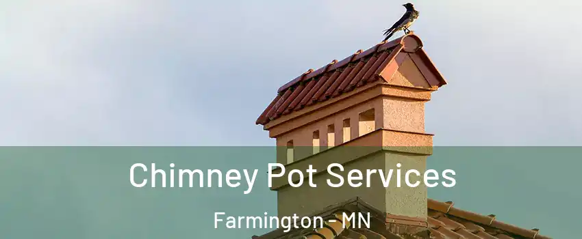  Chimney Pot Services Farmington - MN