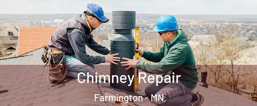  Chimney Repair Farmington - MN