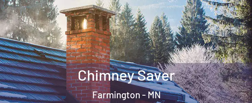  Chimney Saver Farmington - MN