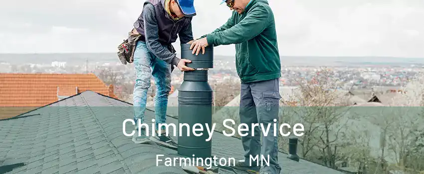 Chimney Service Farmington - MN