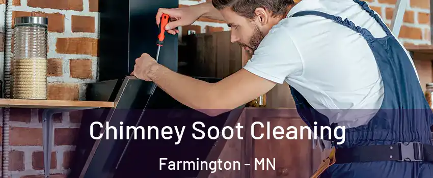  Chimney Soot Cleaning Farmington - MN