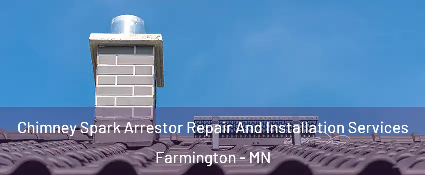  Chimney Spark Arrestor Repair And Installation Services Farmington - MN