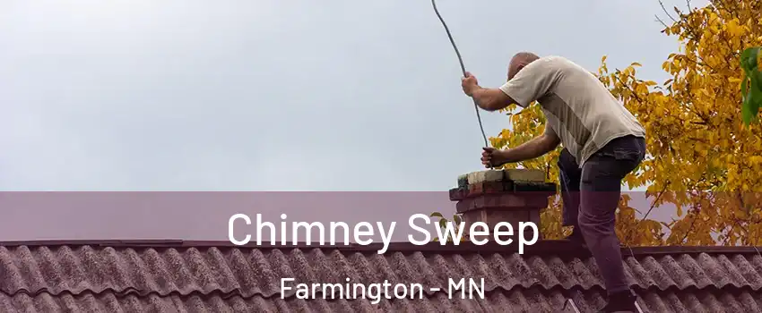  Chimney Sweep Farmington - MN