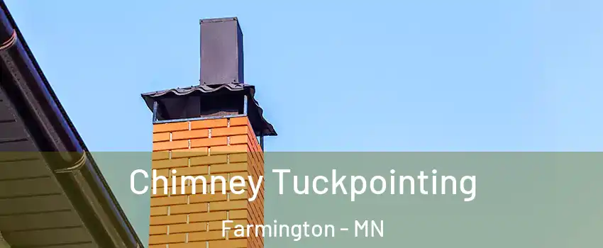  Chimney Tuckpointing Farmington - MN