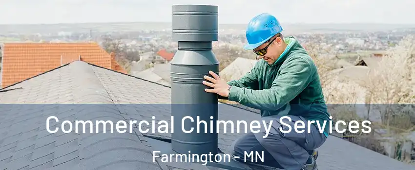 Commercial Chimney Services Farmington - MN