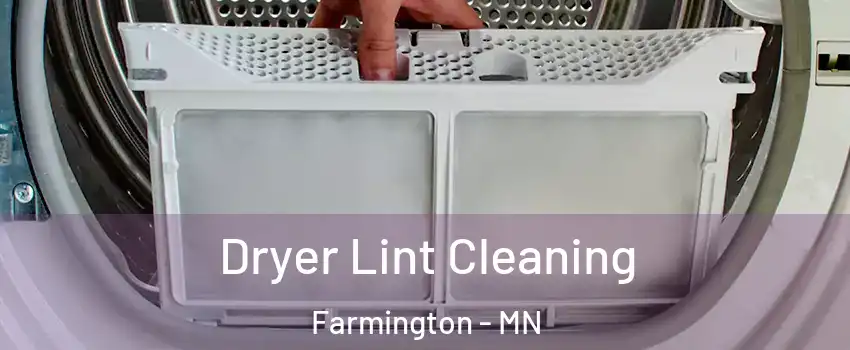  Dryer Lint Cleaning Farmington - MN