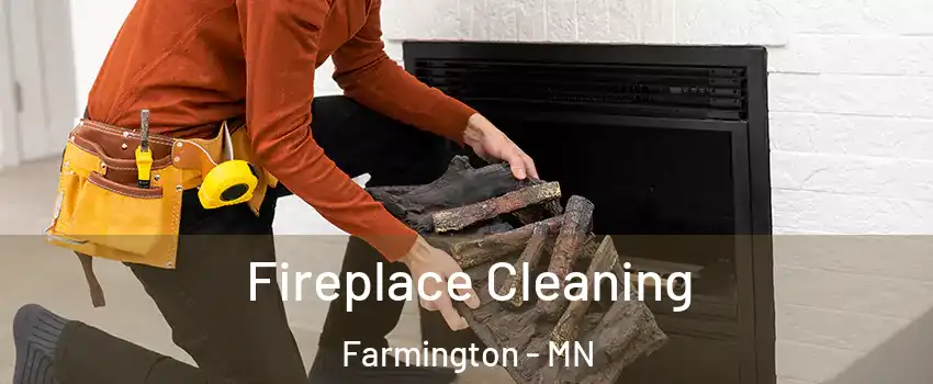  Fireplace Cleaning Farmington - MN