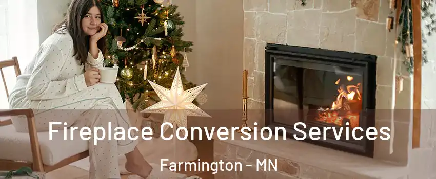  Fireplace Conversion Services Farmington - MN