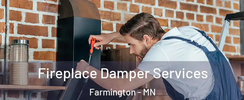  Fireplace Damper Services Farmington - MN
