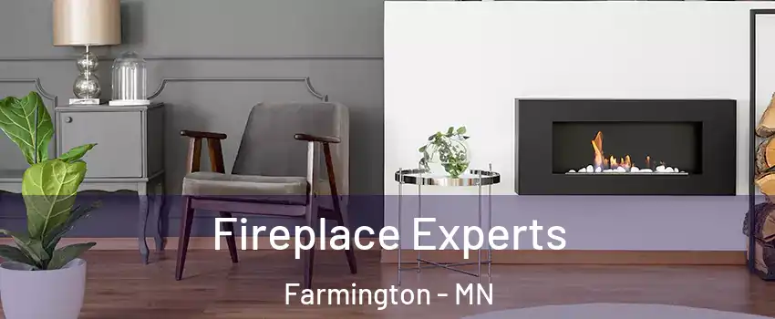  Fireplace Experts Farmington - MN