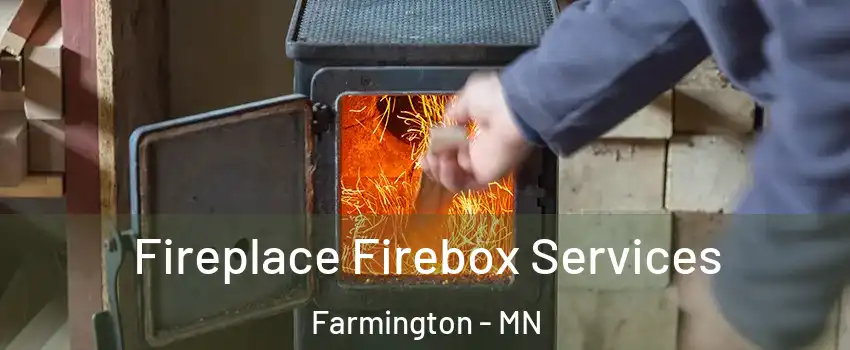  Fireplace Firebox Services Farmington - MN
