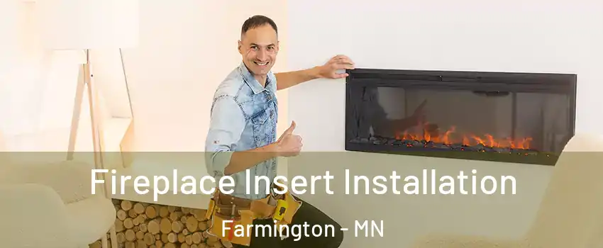 Fireplace Insert Installation Farmington - MN