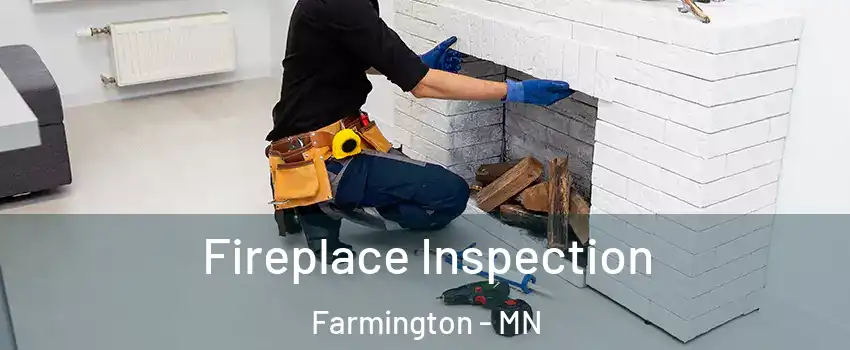  Fireplace Inspection Farmington - MN