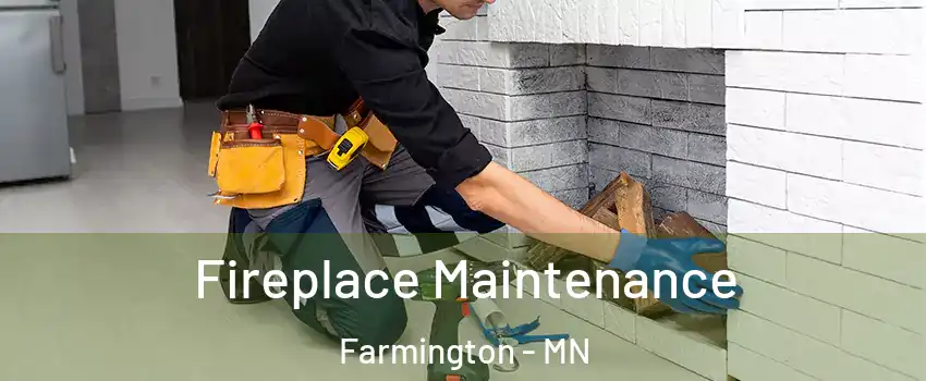  Fireplace Maintenance Farmington - MN