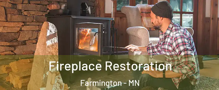  Fireplace Restoration Farmington - MN