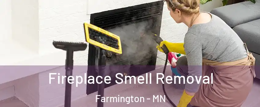  Fireplace Smell Removal Farmington - MN