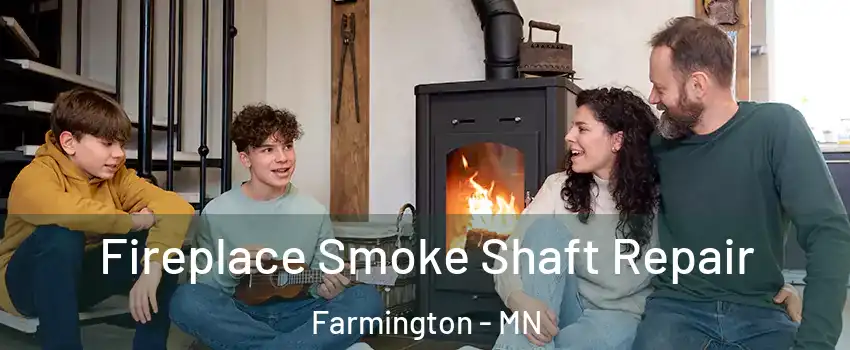  Fireplace Smoke Shaft Repair Farmington - MN