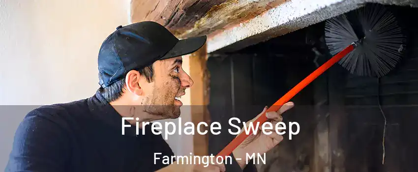  Fireplace Sweep Farmington - MN