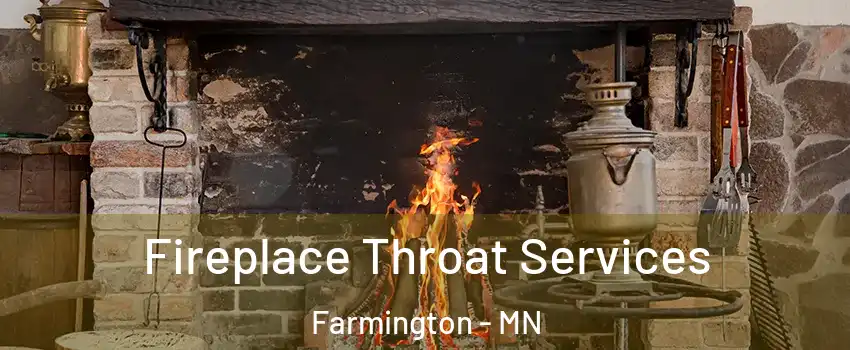  Fireplace Throat Services Farmington - MN