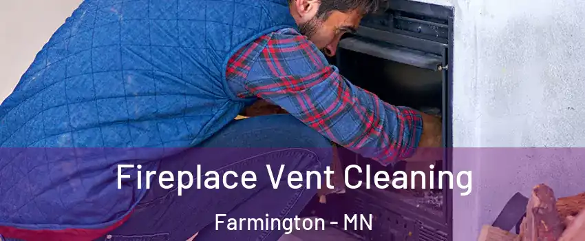  Fireplace Vent Cleaning Farmington - MN