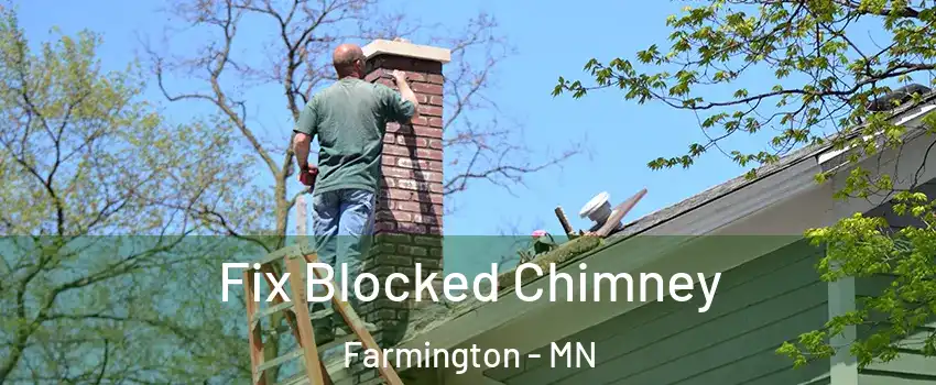  Fix Blocked Chimney Farmington - MN