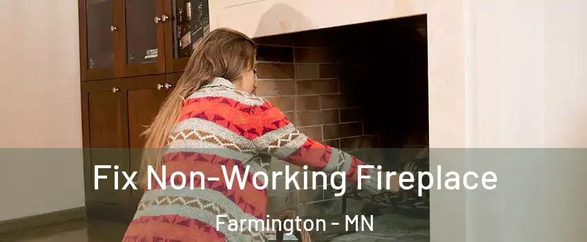  Fix Non-Working Fireplace Farmington - MN