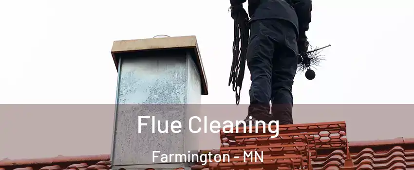  Flue Cleaning Farmington - MN