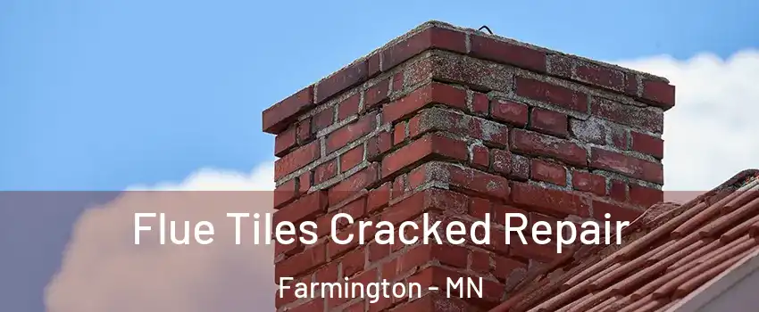  Flue Tiles Cracked Repair Farmington - MN
