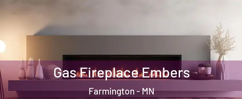  Gas Fireplace Embers Farmington - MN