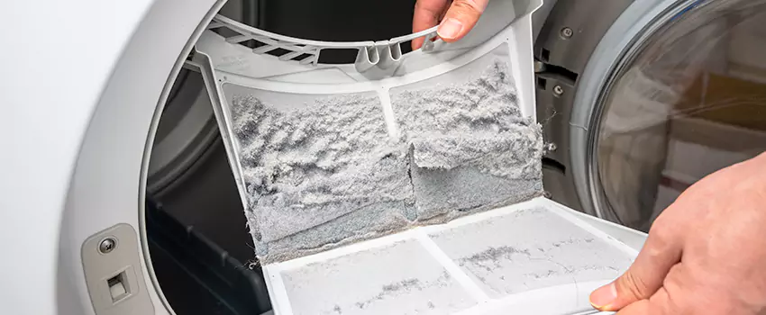 Best Dryer Lint Removal Company in Farmington, Minnesota