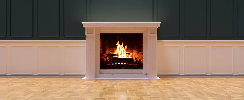 Napoleon Electric Fireplaces Inspection Service in Farmington, Minnesota